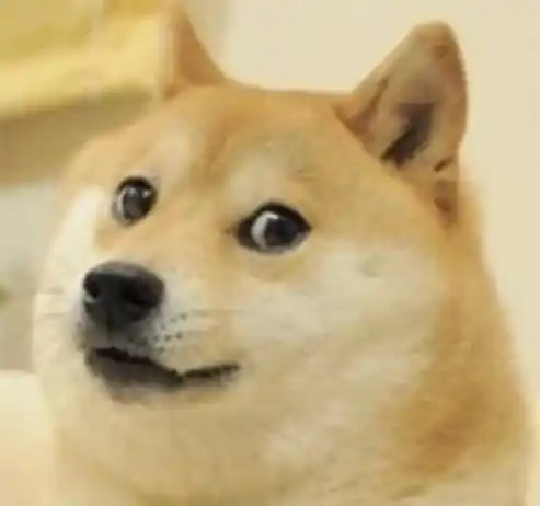 inscription fd5ff7fe961ee8ab4e347e26cc10eea4eef952978407848d6f282ef218bcbfc8i0